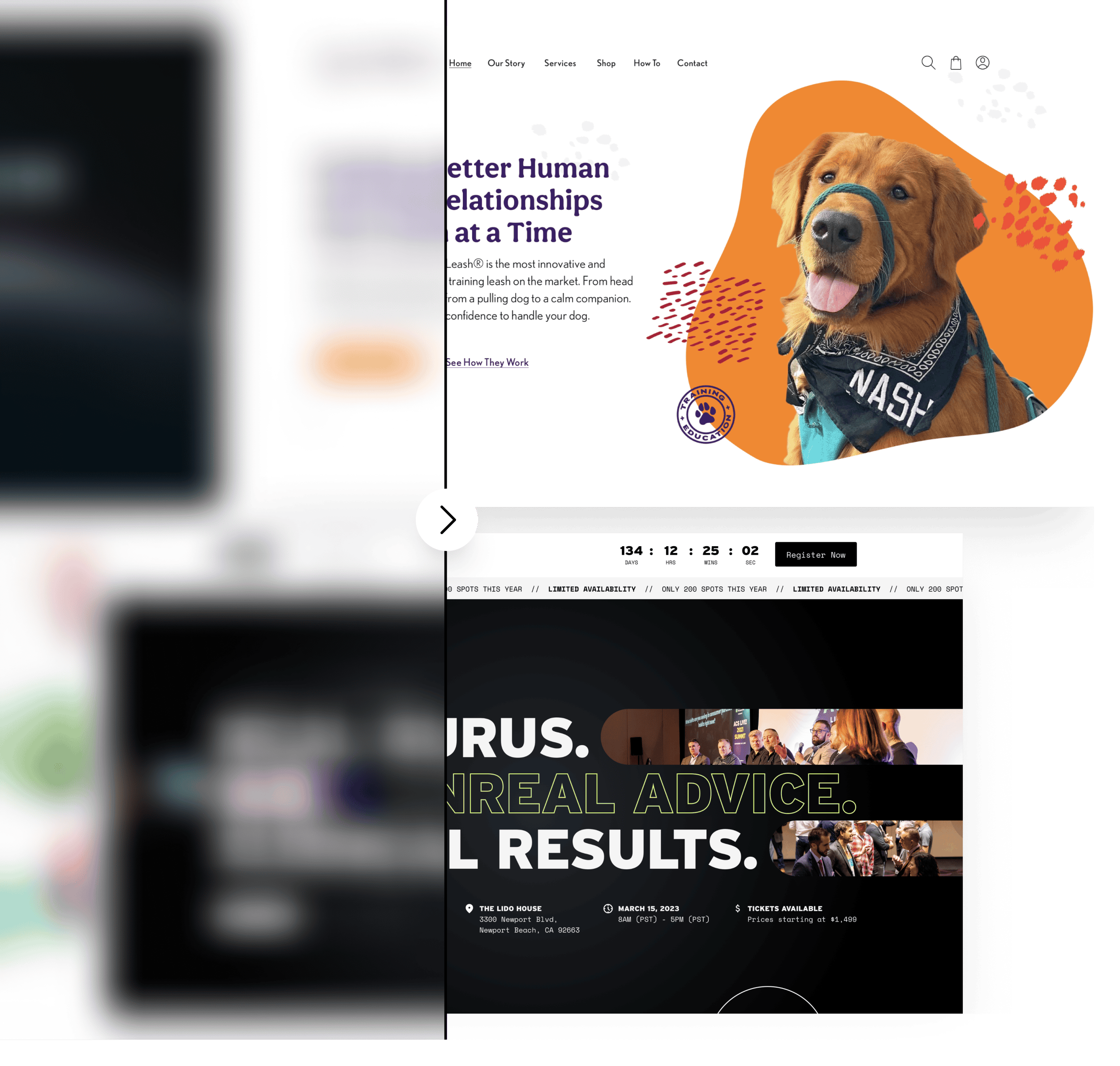 Screenshot of the k9 lifeline and divergent financial websites, showcasing the online presence of these brands that strikepoint media has worked with.