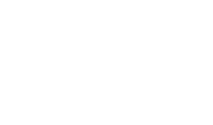 Wdw magazine logo - client of strikepoint media, focused on disney world news and information.